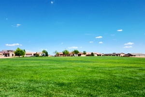 Grass park in Cabezon